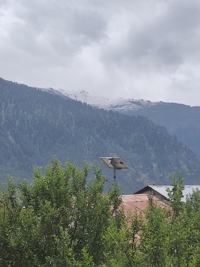 Woods Inn Mountain View Manali מראה חיצוני תמונה